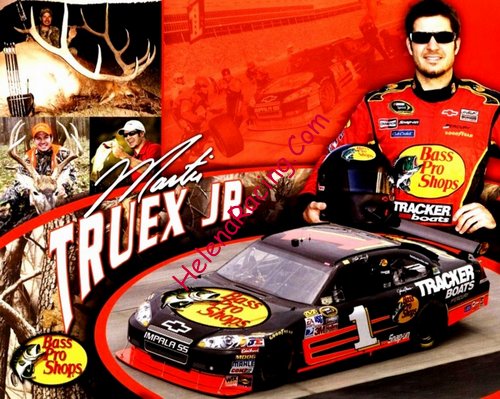 Card 2009 Sprint Cup (NS).jpg