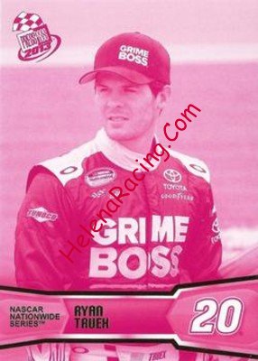 2013 Pass-Pink.jpg