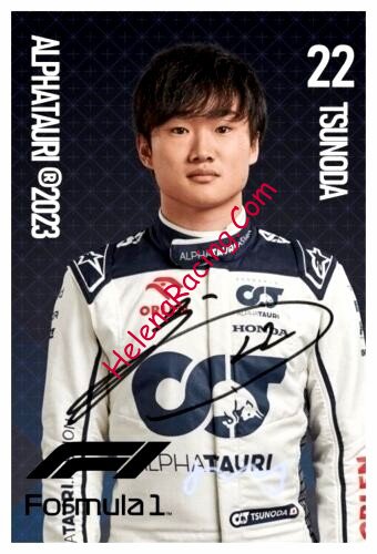 Card 2023 Formula 1 (P).jpg