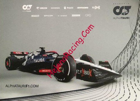 Card 2023 Formula 1 Verso (NS).jpg