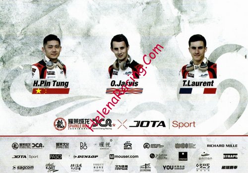Card 2017 Le Mans 24 h Verso (NS).jpg
